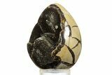 Septarian Dragon Egg Geode - Sparkly Black Crystals #344444-2